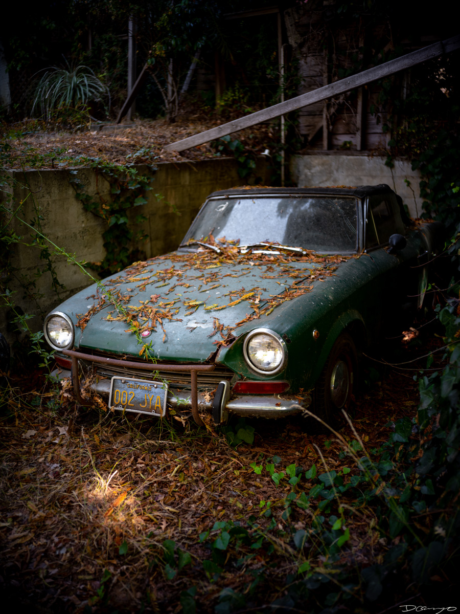 Pretty things that I wanted to take pictures of around Berkeley in 2023.